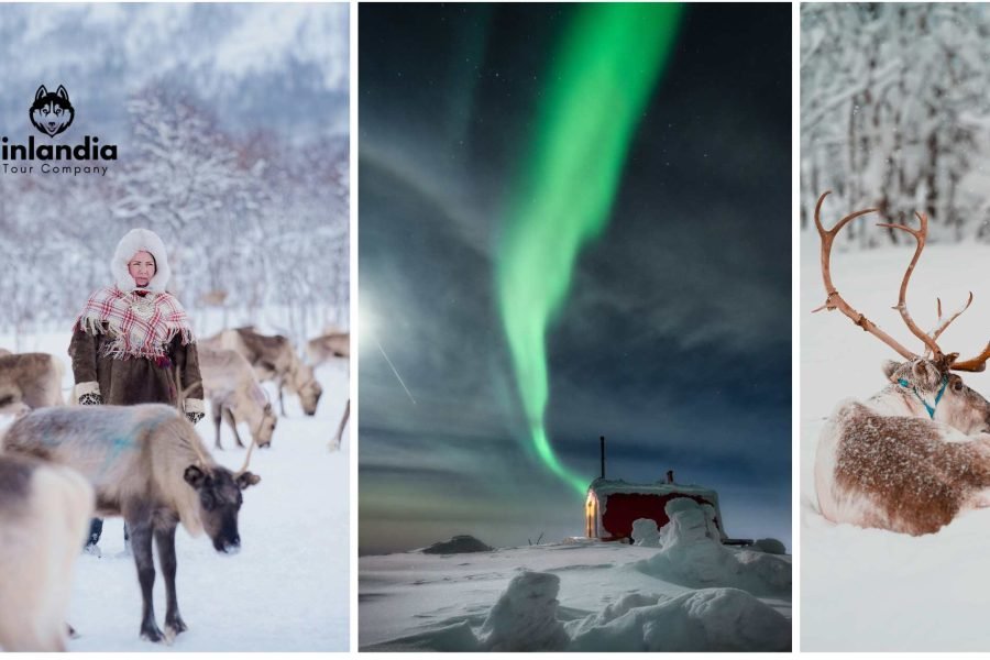 Kolase pengalaman 11 Hari / 10 Malam Finlandia Tour: wanita Sami menggembalakan rusa, rumah pedesaan, Aurora Borealis, dan rusa duduk di salju