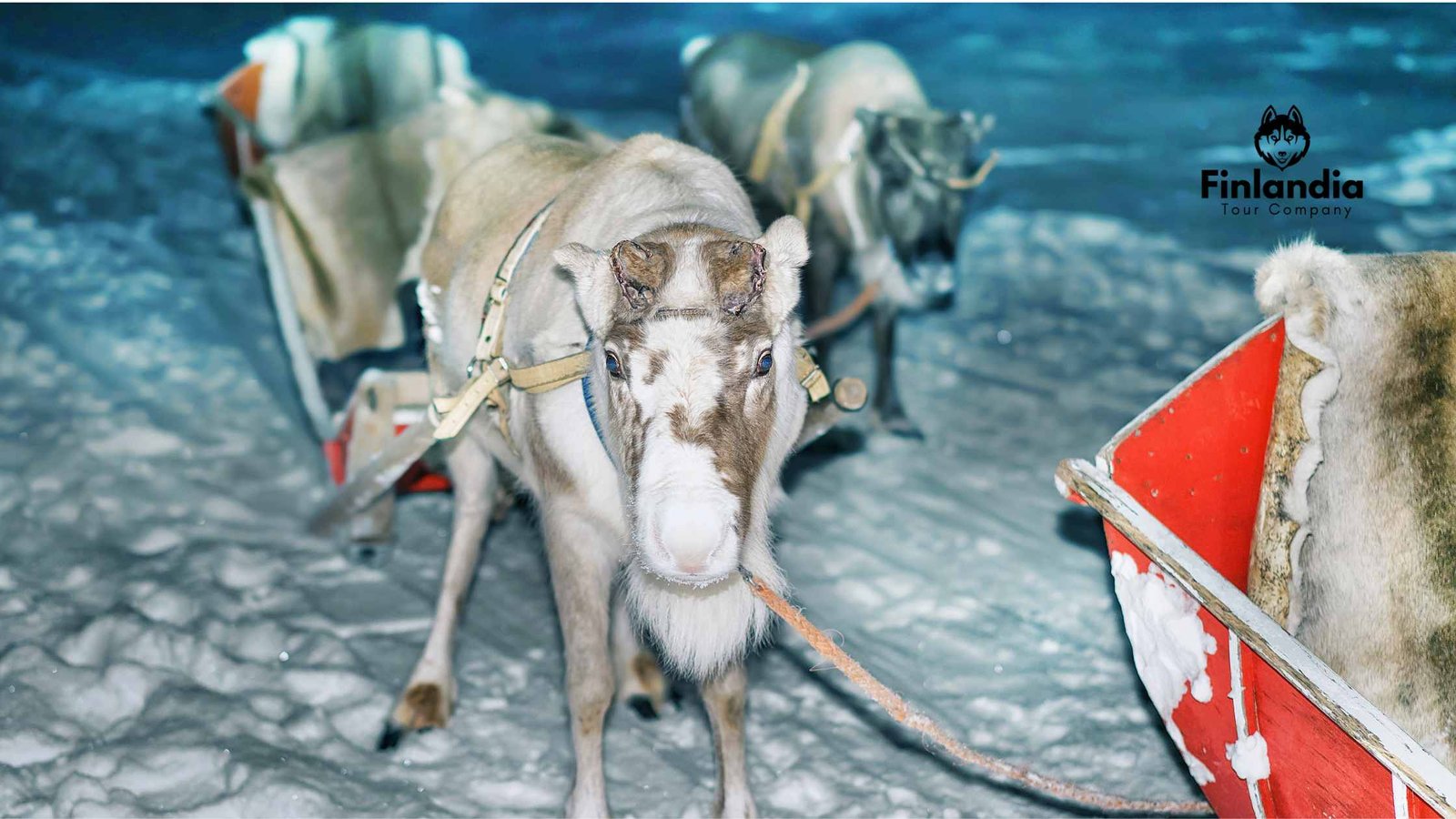 Rovaniemi